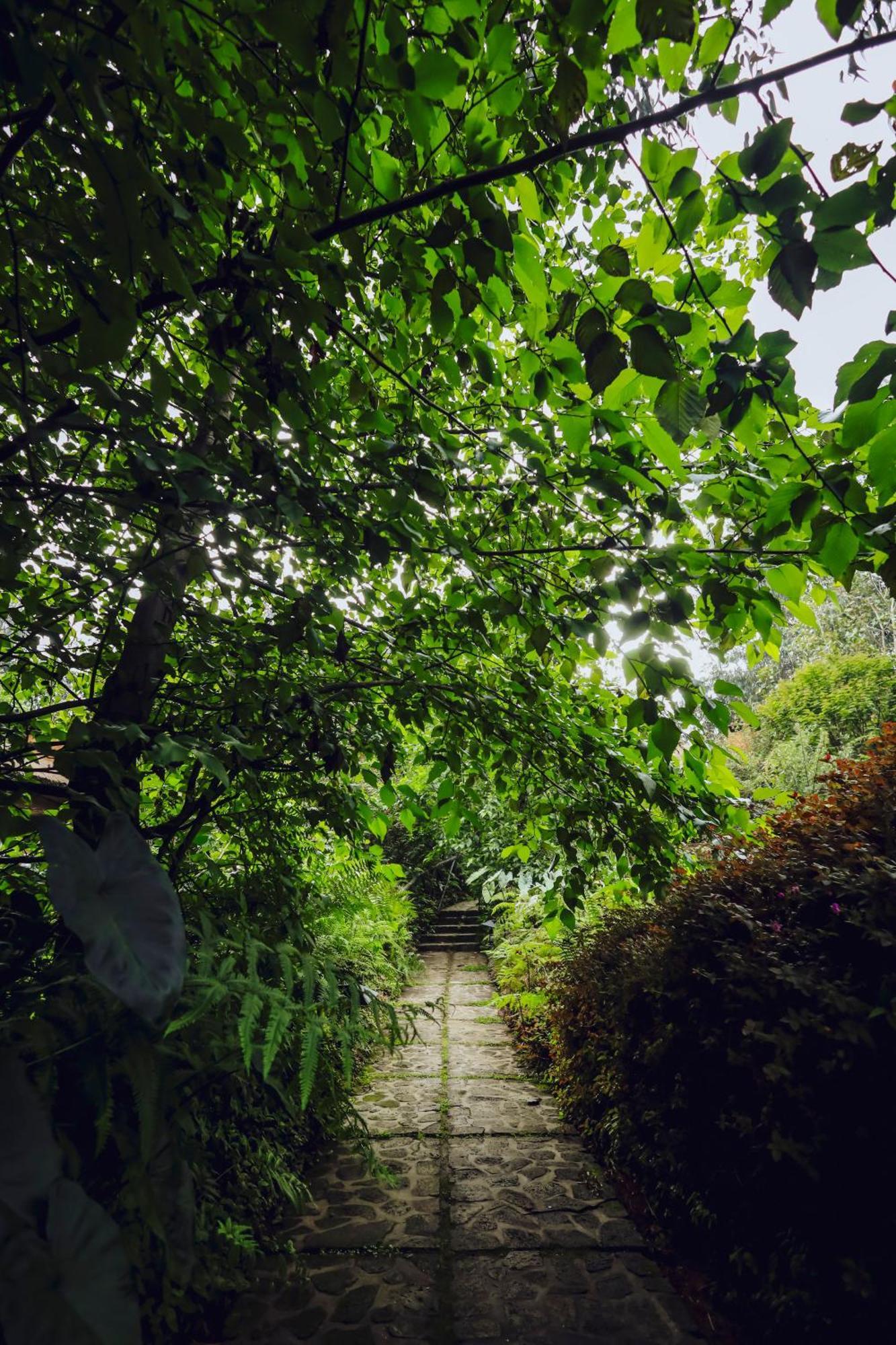 Sambora Kinigi Villa Exterior photo